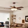 OEING 47-inch 5-Blade Vintage Ceiling Fan with Light