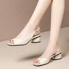 Sandali estivi da donna Décolleté con punta aperta Cinturino posteriore Tacco medio Scarpe eleganti Scarpe da donna con punta aperta