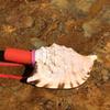 Street Stall Conch Shell Whistles & Toys: Creative Souvenirs