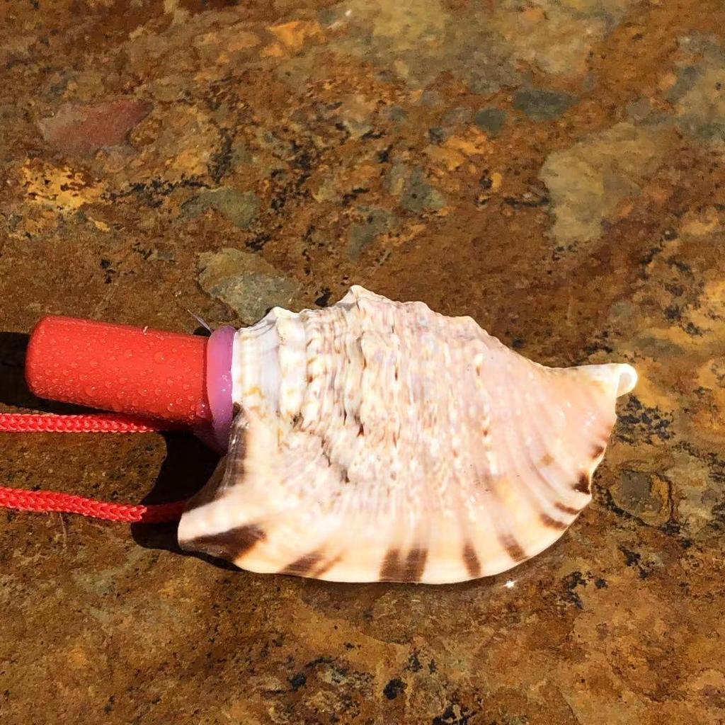Street Stall Conch Shell Whistles & Toys: Creative Souvenirs