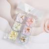 3D Flower Nail Charms, 6 Grids Acrylic Flower DIY Jewelry Craft Decorations