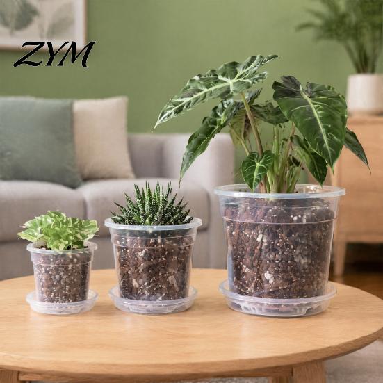 Breathable Plant Pots for Rootlets Clear Plastic Orchid Pot with Saucer, Repotting Supplies Drainage Holes, Ventilated Flower Rose, Phalaenopsis,