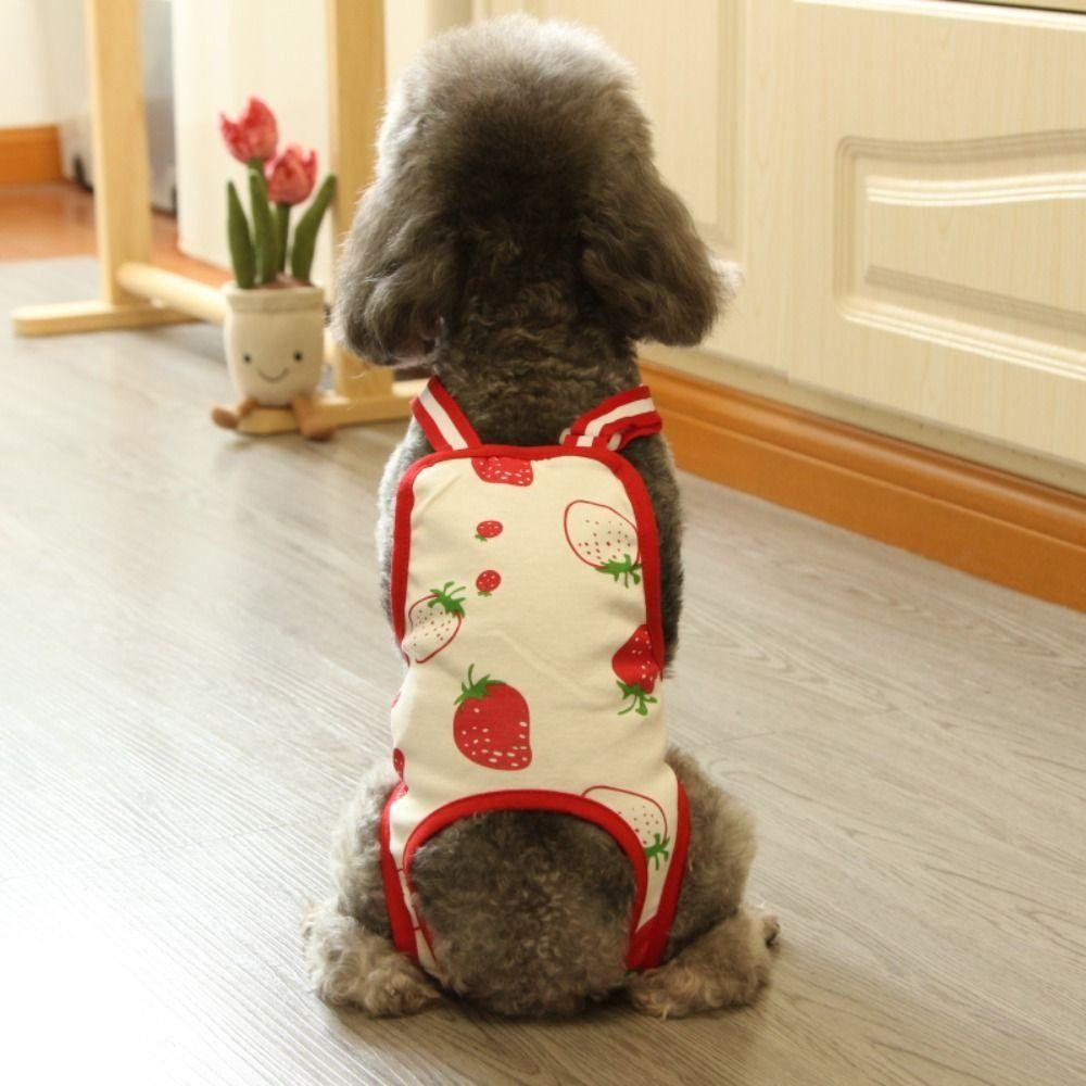 Unterwäsche Haustier Physiologische Hose Windel Katze Shorts Welpenbedarf Hündinnenwindeln Für Hund/Katze