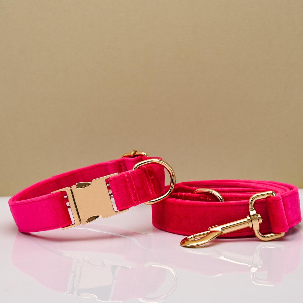 Ensemble collier et laisse pour chien en velours gravé avec boucle métallique réglable
