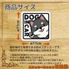 Tamiya Dog In Car Sticker Square 4.3 Inches (11 Cm) Weatherproof Waterproof Japanese Seal Pomeranian A (Sticker)
