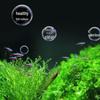 Licheers High-Density Aquarium Filter Cotton Pad