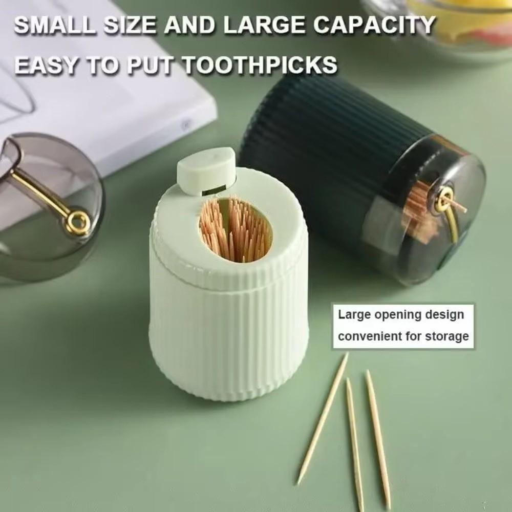 Hygienic Tooth Pick Containers Push Type Toothpick Dispenser Toothpick Storage Box Home Use