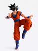 TAMASHII NATIONS IMAGINATION WORKS Dragon Ball Z Son Goku 180mm ABS PVC Silicone Painted Articulated Figure Approx. & &