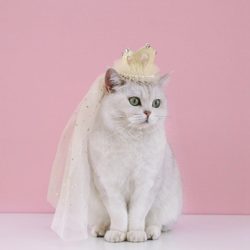 Pet Birthday Hat Bib Party Hat Cat Puppy Lace Saliva Towel Dog Bandana Scarf Dog Birthday Dress Up Photography Props Supplies