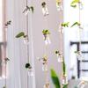 Nordic With 8 Mini Bottle Hydroponic Container Glass Vase Wind Chimes 1 Strings Hanging Vase