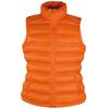 Result Ladies/Womens Ice Bird Padded Bodywarmer / Gilet Jacket