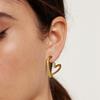 Chic Heart Earring, Stainless Steel Hoop Earring for Women Girls Hypoallergenic Jewelry