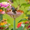 1 Pack/4 Pack Colorful Bee Bath Metal Bee Water Feeder  Outdoor Garden Yard Decor
