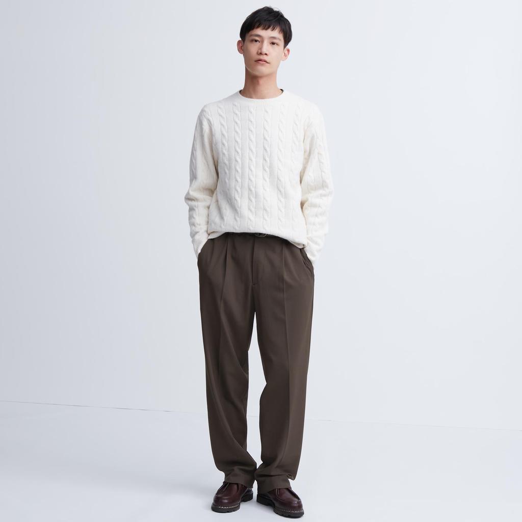 Uniqlo Japan Tuck Wide Pants  Standard Length 70 76cm 