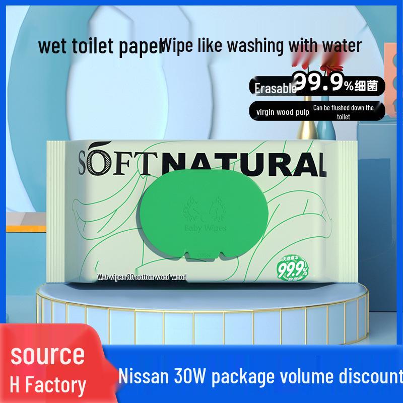 Biodegradable Antibacterial Flushable Wet Toilet Wipes - 40 Sheets (Clog-Free and Eco-Friendly)