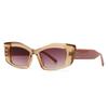 Foreign Trade Cross-Border Popular Sunglasses for Men with Rice Nails European and American Street Photography Ins Popular Model