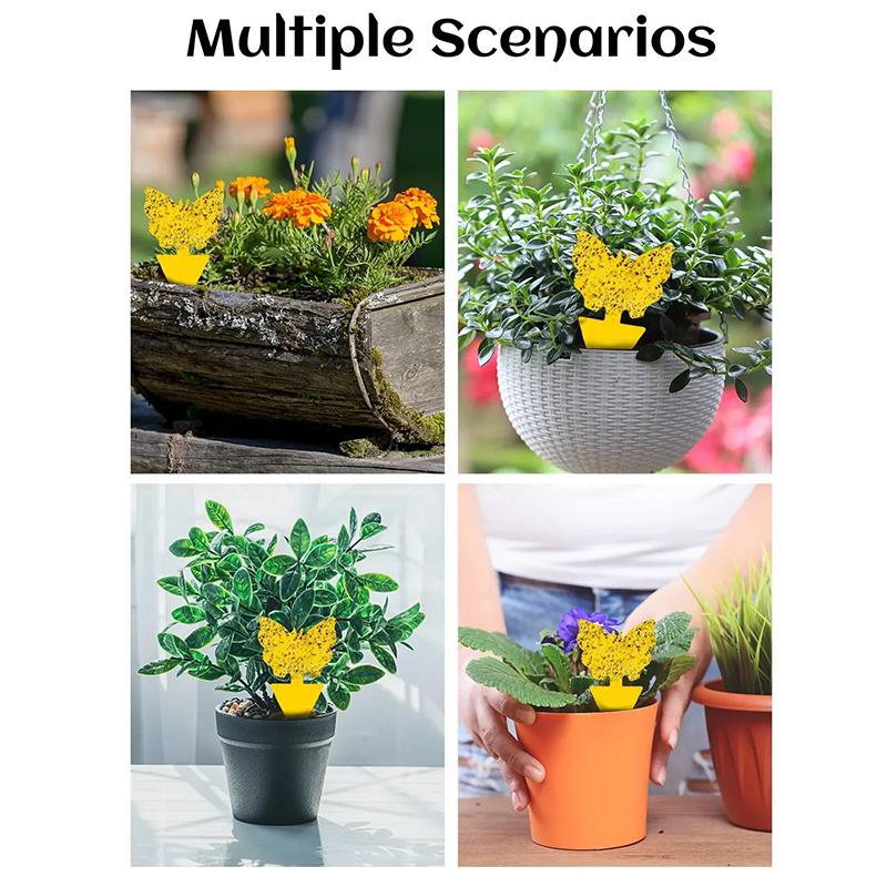 10pcs/set Home Garden Insect Lure Board, Yellow Sticky Insect Sticker, Tool For Eliminating Small Flying Insects And Pests In Flowers