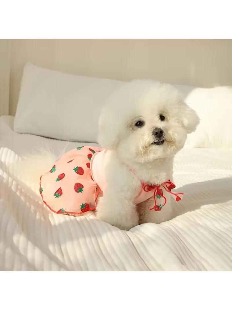 Summer Thin Puppy Princess Skirt Dog Clothes Cute Pet Dog Dress for Small Dogs Chihuahua York Clothing Pet Supplies