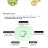 haruharu wonder - Centella Phyto & 5 Peptide Concentrate Cream Refill Only
