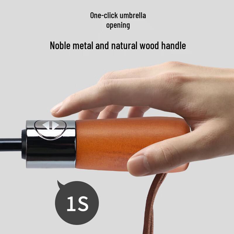 Hongye Automatic 10-Rib Folding Umbrella