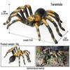 Children's Tarantula Model Toy - Realistic Prank Spider for Halloween & Cognitive Play