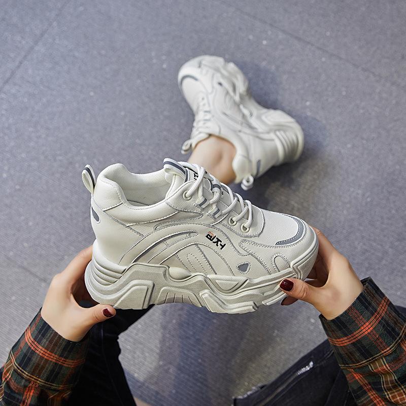 Inner Height Increase Autumn and Winter 1 New Dad Shoes Platform Mesh Small Dirty Shoes Sports and Leisure Shoes