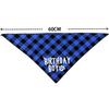 Pet Birthday Set Saliva Towel Triangle Towel Hat Pet Party Decoration Supplies Modeling Outdoor Creativity