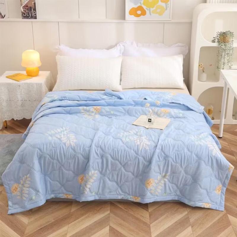 Xuan Yu Lightweight Skin-Friendly Summer Quilt
