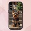 Yorkshire Terrier HUND Süße Handyhülle Für Samsung S24,S21,S22,S23,S30,Ultra,S20,Plus,Fe,Lite,Note,10,9,5G Schwarzes Weiches Gehäuse