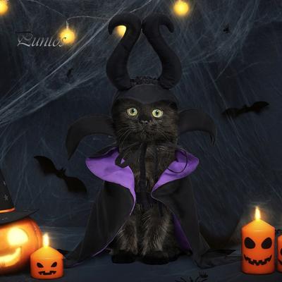Ensemble de costumes pour animaux de compagnie, vêtements de sorcière d'Halloween pour chien, cape de chat, tenue de magicien drôle pour chien, manteau, vêtements de cosplay pour fête d'Halloween, Noël
