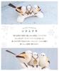 Long-tailed Tit (Shimaenaga) Bird Garden Ornament, Figurine, Decorative Item, Interior Decoration, Set of 3