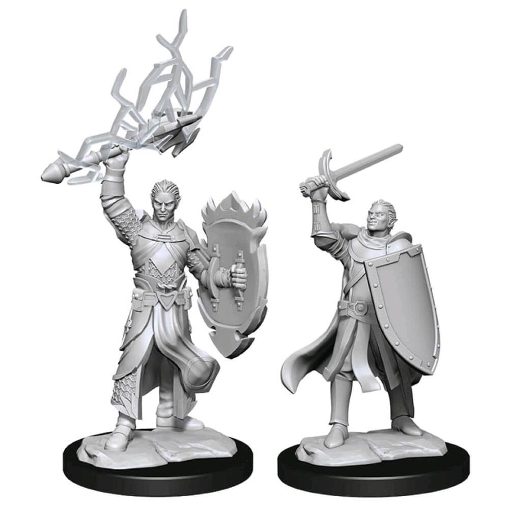 

D&D Nolzur s M.U.M.: Полуэльф Паладин Самец