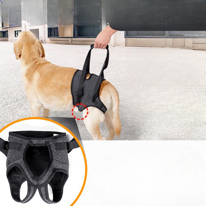 Outdoor Dog Hind Leg Support Straps for Disabled and Elderly Dogs, Pet Supplies for Assisted Rehabilitation and Travel