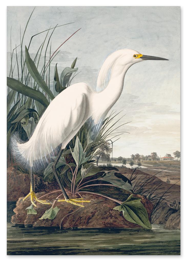 Canvas Painting White Bird Wetland Swamp