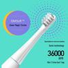 Dr. Bei C6X Sonic Electric Toothbrush CN Plug (adapter Included)