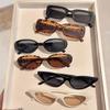 6Pcs Women's Fashion Glasses Set Durable Pc Frame, Leopard Print Decorative Glasses Daily Decoration Gift Set