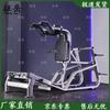 Zhengyue Hack Squat & Leg Press Machine