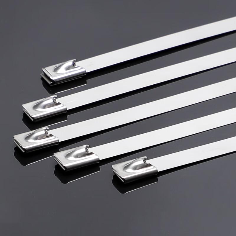 Rendian 304 Stainless Steel Self-Locking Cable Ties