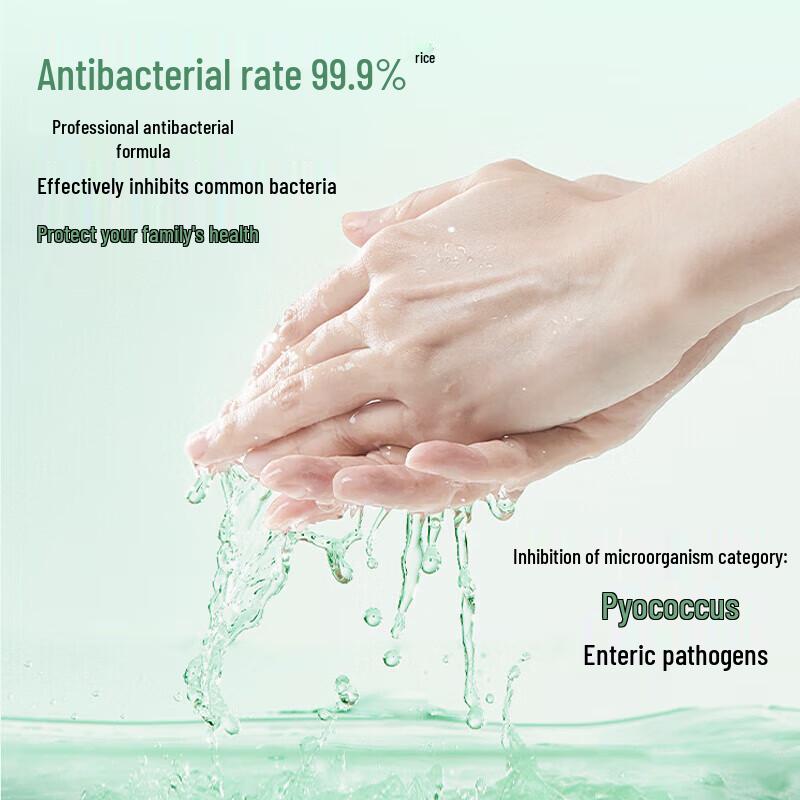 Chao Neng Antibacterial Hand Wash - Watery Tea Scent