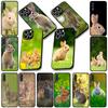 Phone Cover for Samsung Galaxy S25 S24 S23 FE Plus Ultra S7 Edge A16 A15 5G S25+ Casing Flexible Case Rabbit