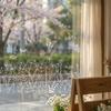 Spring Butterfly & Flower Electrostatic Stickers, Shop Window Glass Decorative Clings