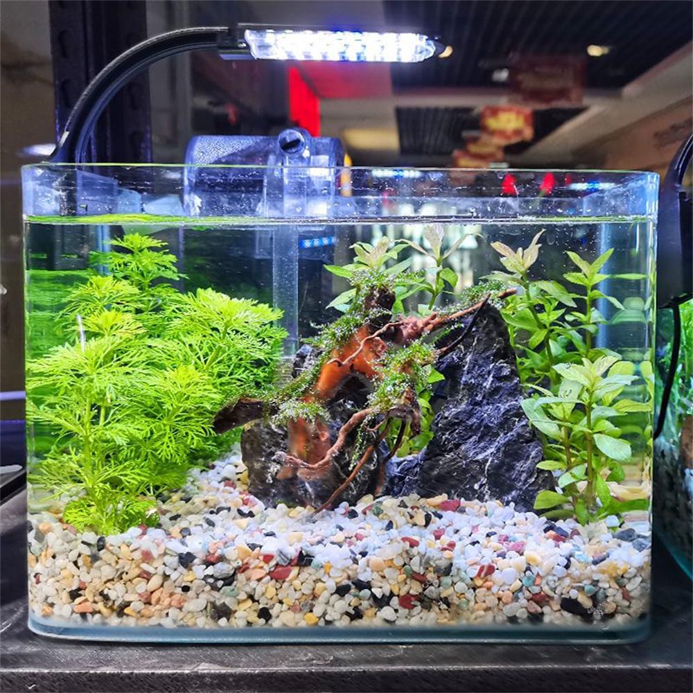 50/100g Natural Crystals Gravel Stone Micro Landscape Garden Aquarium Decor Fish Tank Bottom Sand Potted Plants DIY Accessories