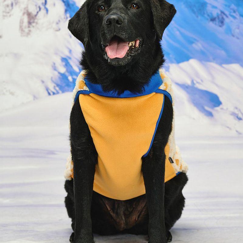 MUNIKUND Trum Fleece - Yellow