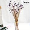 50pcs/Bouquet Brazil Happy Flower Eternal Flower Natural Real Small Dried Flower Bouquet
