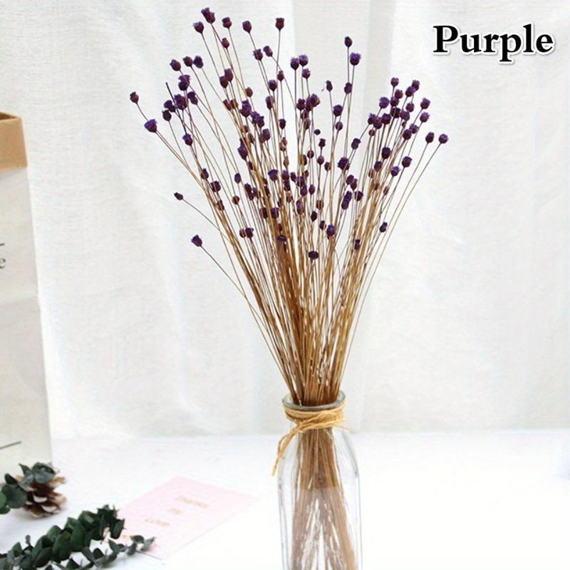 50 Stück/Strauß Brasilien Happy Flower Echte Blume Natur Echter Kleiner Trockenblumenstrauß