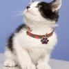 Haustierhalsband Blingbling Anhänger für Hunde Katzen Tierpfotenabdruck Anhänger mit Glitzer Mehrfarbig