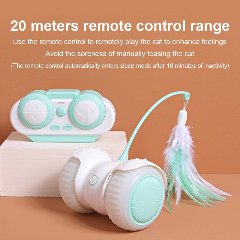cat remote control car