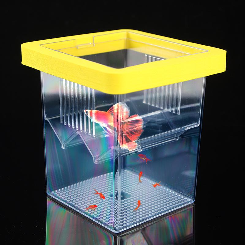 Small Fish Fry Floating Isolation and Hatching Box for Guppy Breeding