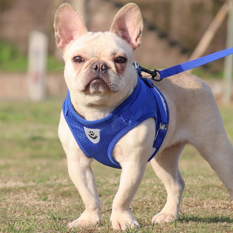 Breathable Dog Vest Harness Reflective Strap Comfortable Dog Harness for Small Pet Outdoor Activity Walking Accessory