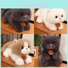 Lazy Cat Sitting And Lying Plushie With Ecofriendly Filling For Kids